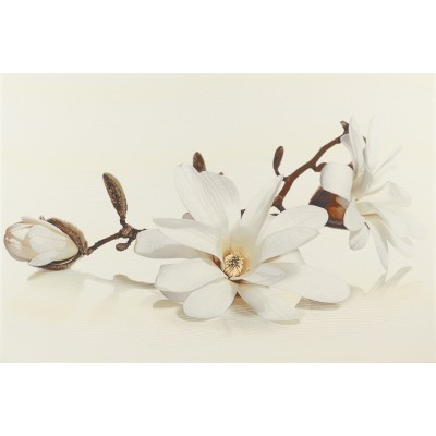 Декор Cersanit FLORA INSERTO MAGNOLIA 30 х 45 см