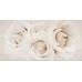 Декор Opoczno CAMELIA FLOWER 297 х 600 мм