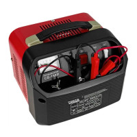 Зарядний пристрій Forte CB-15FP (49329)